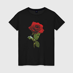 Футболка хлопковая женская Красивая красная роза, цвет: черный