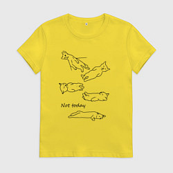 Женская футболка Not today спящие коты