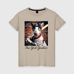 Женская футболка Bull terrier - New York yankees baseball team