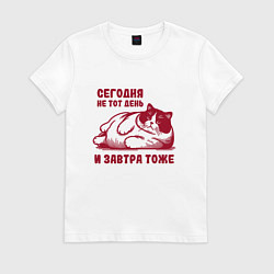 Женская футболка Недовольный толстый котик сегодня не тот день