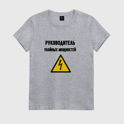 Футболка хлопковая женская Руководитель убойных мощностей - электрик, цвет: меланж