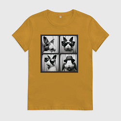 Футболка хлопковая женская Кролик в фотобудке, цвет: горчичный