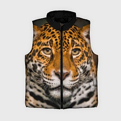 Женский жилет Взгляд ягуара, цвет: 3D-черный