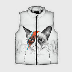 Женский жилет David Bowie: Grumpy cat, цвет: 3D-черный