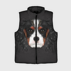 Женский жилет Cavalier King Charles, цвет: 3D-черный