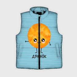 Женский жилет Драник, цвет: 3D-черный