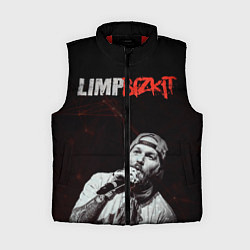 Женский жилет Limp Bizkit, цвет: 3D-красный