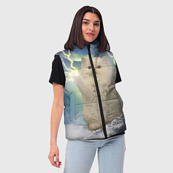 Женский жилет Грозовой Котик, цвет: 3D-красный — фото 2