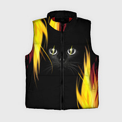 Женский жилет Грозовой кошак