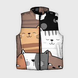 Женский жилет Котейки