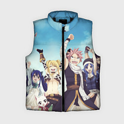 Женский жилет FAIRY TAIL ХВОСТ ФЕИ, цвет: 3D-черный