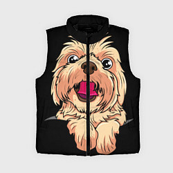 Женский жилет Ши тцу