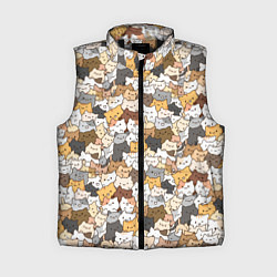 Женский жилет Котики муркотики, цвет: 3D-черный