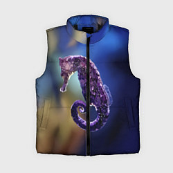 Женский жилет Морской конёк, цвет: 3D-черный