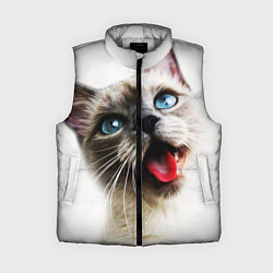 Женский жилет Котик