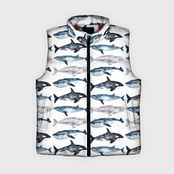 Женский жилет Принт с китами