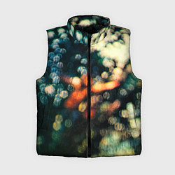 Женский жилет Obscured by Clouds - Pink Floyd, цвет: 3D-черный