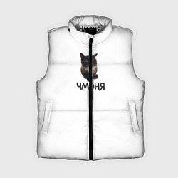 Женский жилет Кот чмоня, цвет: 3D-светло-серый