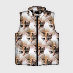 Женский жилет Маленький котенок паттерн, цвет: 3D-черный