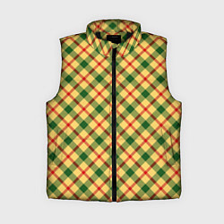 Женский жилет Желто-зеленая Клетка, цвет: 3D-черный