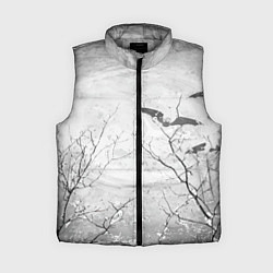 Женский жилет Ночь Луна Летучая мышь, цвет: 3D-светло-серый