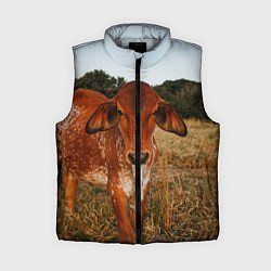 Женский жилет Коровка на поле