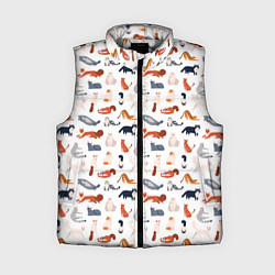 Женский жилет Коты котики и разные животные