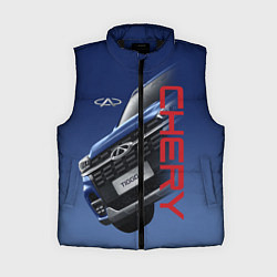Женский жилет Chery, цвет: 3D-черный