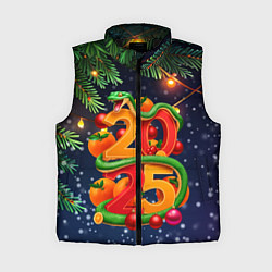 Женский жилет Змея и мандарины 2025, цвет: 3D-черный