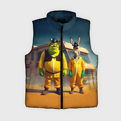 Женский жилет Шрек и Данки пустились во все тяжкие, цвет: 3D-черный