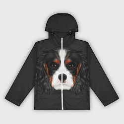 Женская ветровка Cavalier King Charles