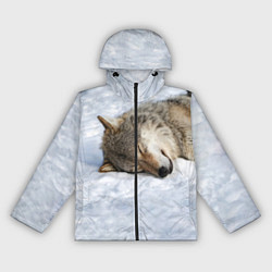 Женская ветровка Спящий Волк