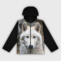 Женская ветровка Волк