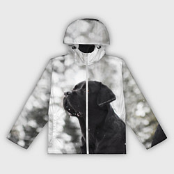 Женская ветровка Лабрадор Марк