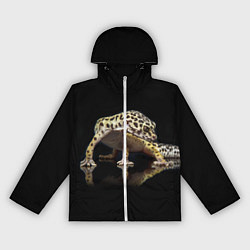 Женская ветровка ЭУБЛЕФАР EUBLEPHARIS