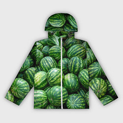 Женская ветровка Арбузы