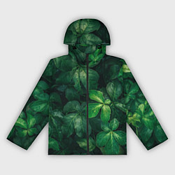 Женская ветровка Тропическая листва Тропики Z