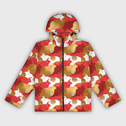 Женская ветровка Быки Bulls