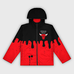 Ветровка с капюшоном женская Chicago Bulls Чикаго Буллз Логотип, цвет: 3D-черный