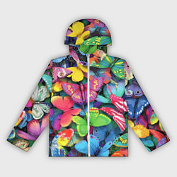 Женская ветровка Стая бабочек Pattern