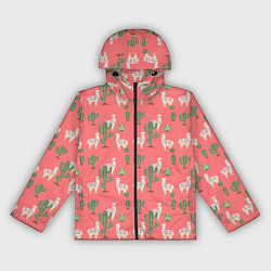 Женская ветровка Три забавных альпака среди кактусов