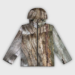 Женская ветровка Текстура коры дерева платана