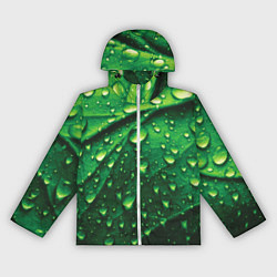 Женская ветровка Утренняя роса