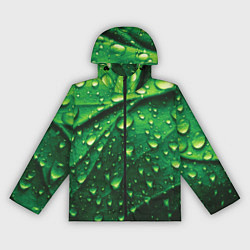 Женская ветровка Утренняя роса