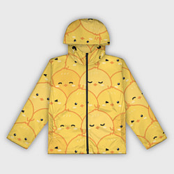 Женская ветровка Милые птенчики