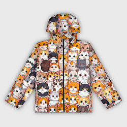 Женская ветровка Очень много котиков