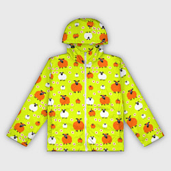 Женская ветровка Стадо овец в поле