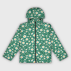 Женская ветровка Ромашки луговые