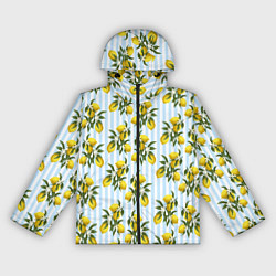 Ветровка с капюшоном женская Ветка летних лимонов - голубые полосы, цвет: 3D-черный