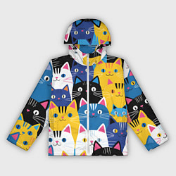 Женская ветровка Много цветных котиков